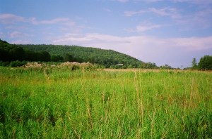 Campground at Glimmerglass Campground at Glimmerglass