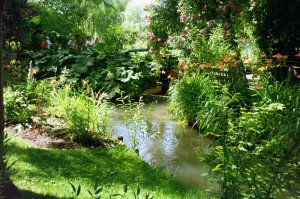 Restful Beauty in Monet's Garden