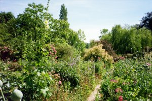 Pathways through Monet's Garden