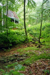 Bois de Montague Awaits